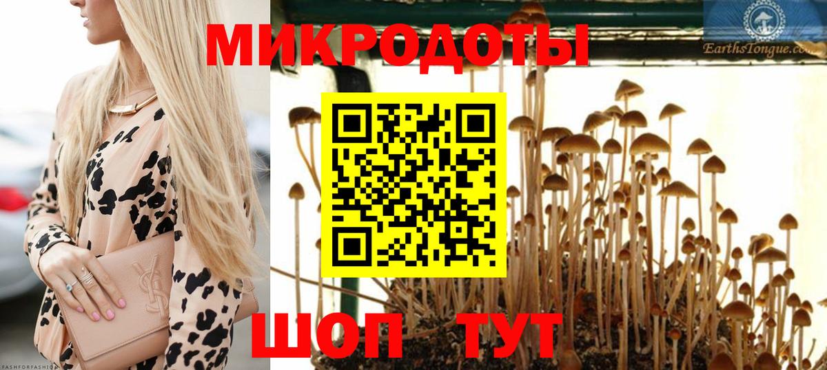 Псилоцибиновые грибы Psilocybine cubensis Вязники